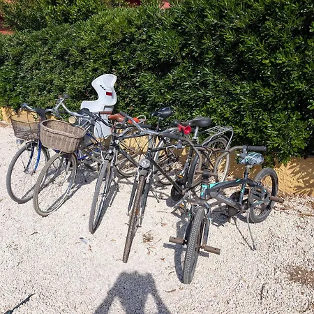 Agroturismo Casa Di Campagna Fregenae